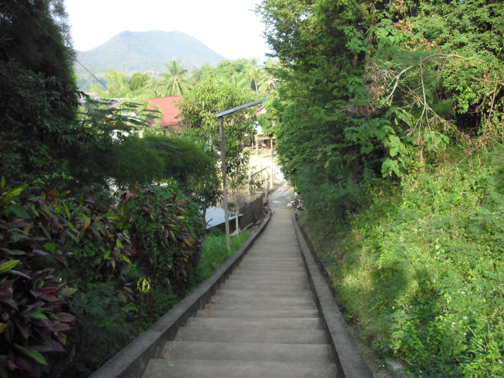 Image CIMG1595.JPG