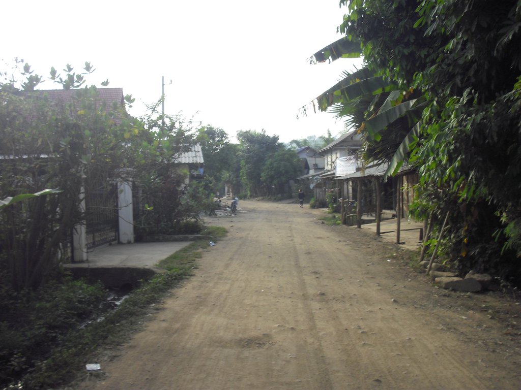 Image CIMG1596.JPG