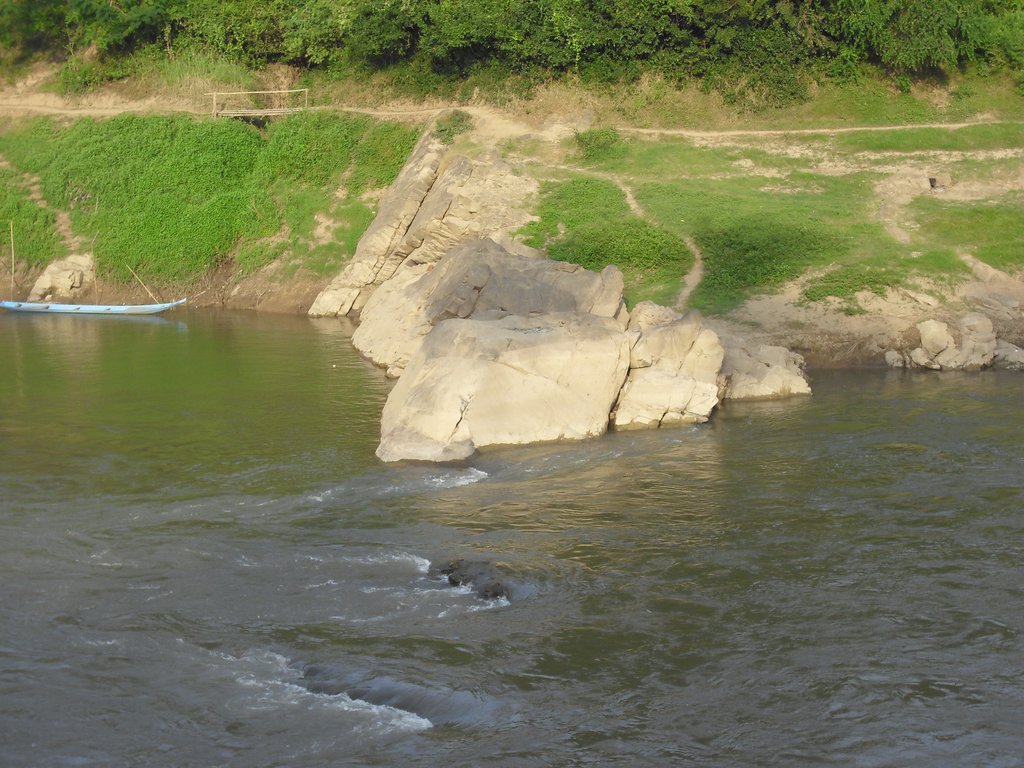 Image CIMG1598.JPG