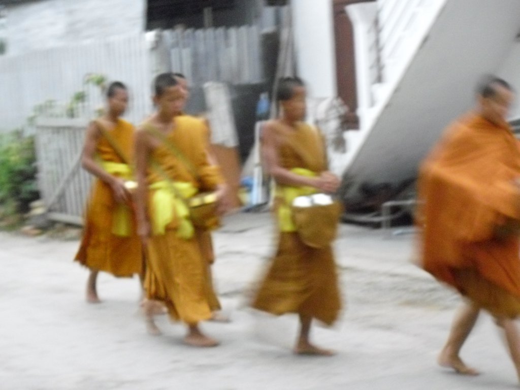 Image CIMG1624.JPG