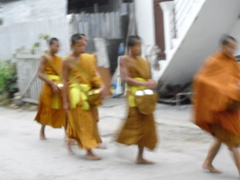 Image CIMG1624.JPG
