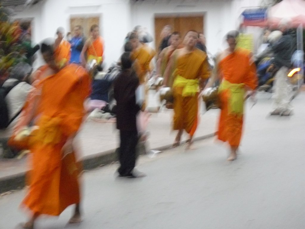 Image CIMG1633.JPG