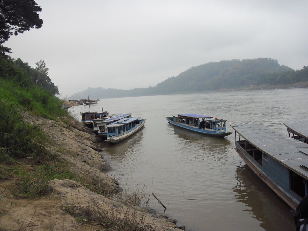 Image CIMG1664.JPG