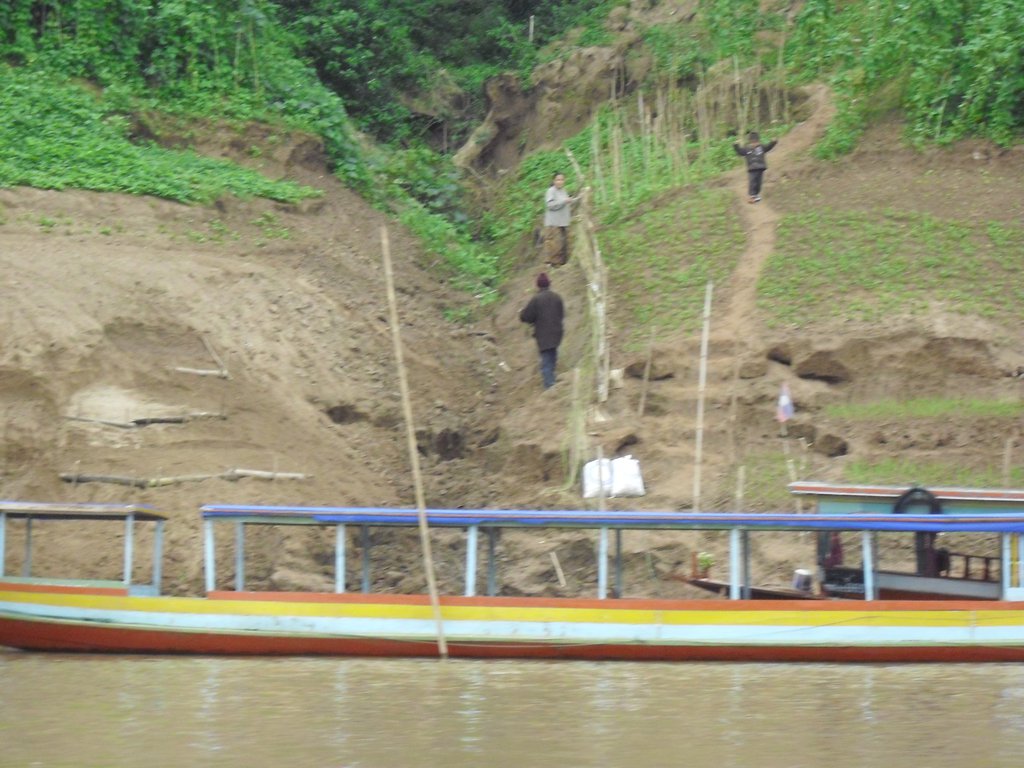 Image CIMG1678.JPG