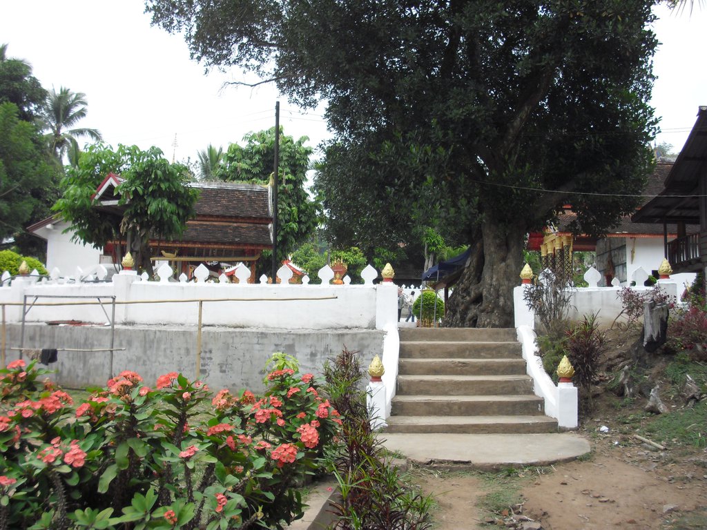 Image CIMG1693.JPG