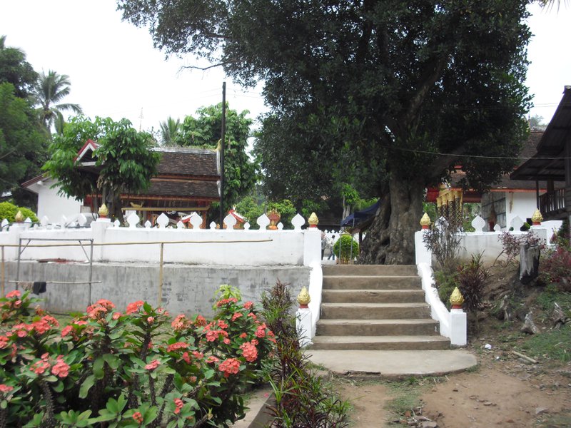 Image CIMG1693.JPG