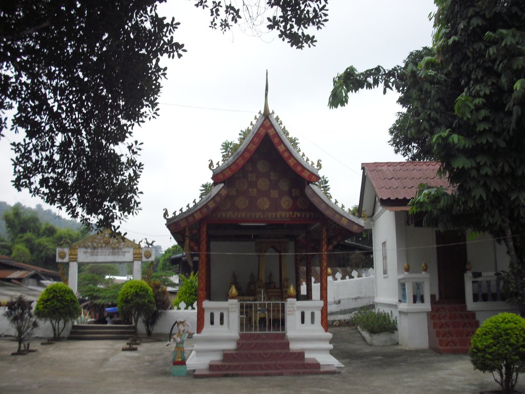 Image CIMG1696.JPG