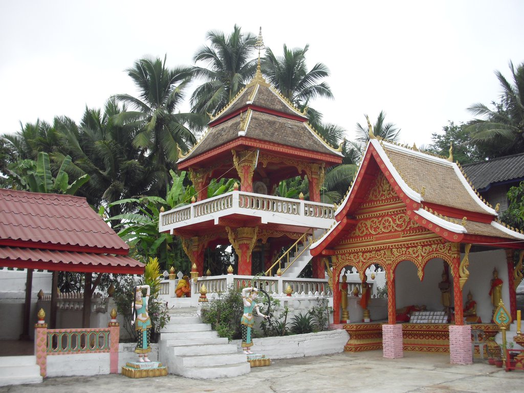 Image CIMG1698.JPG