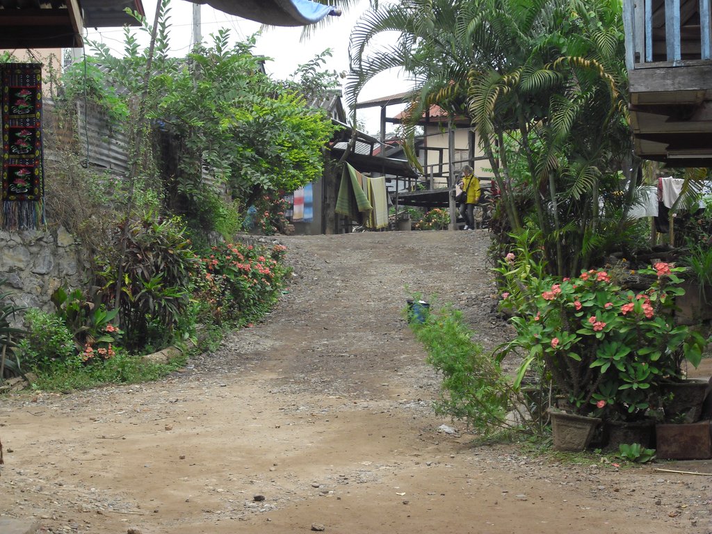 Image CIMG1707.JPG