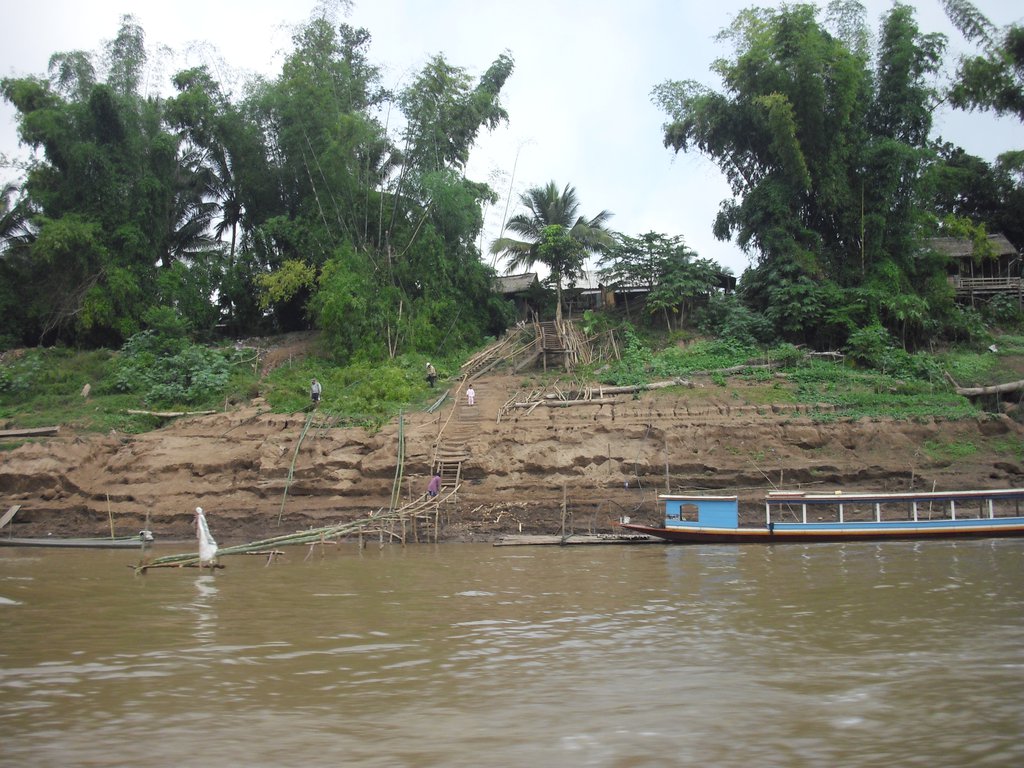 Image CIMG1709.JPG