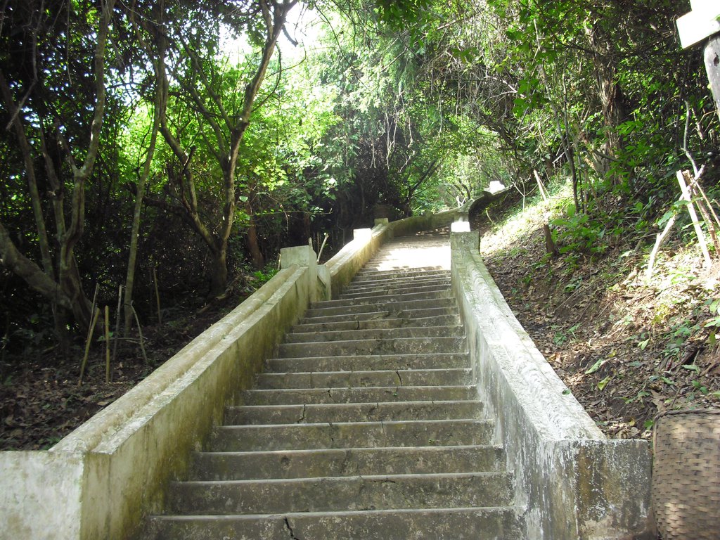 Image CIMG1727.JPG