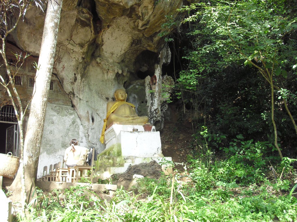 Image CIMG1728.JPG