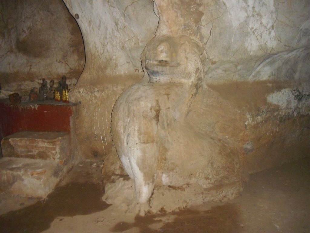 Image CIMG1735.JPG
