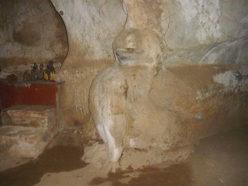 Image CIMG1735.JPG