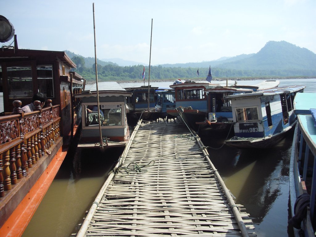 Image CIMG1758.JPG