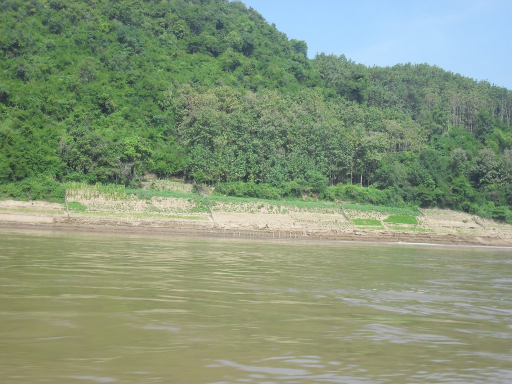 Image CIMG1769.JPG