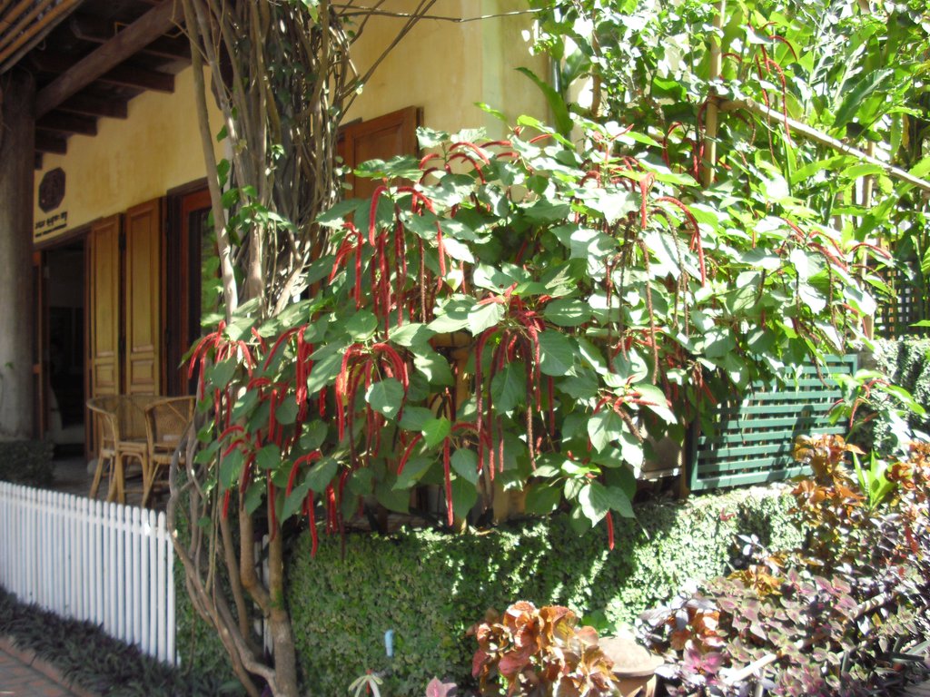 Image CIMG1784.JPG
