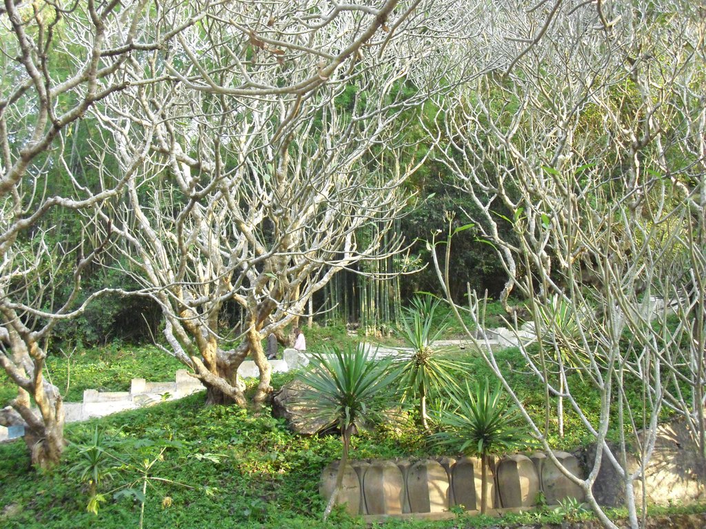 Image CIMG1787.JPG