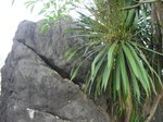 CIMG1802 thumb