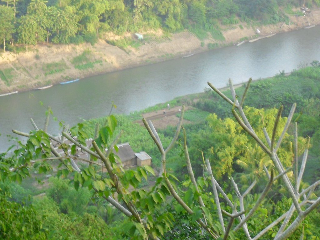 Image CIMG1807.JPG