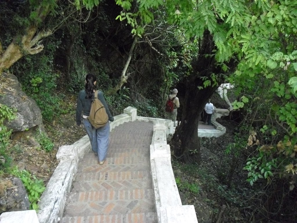 Image CIMG1814.JPG