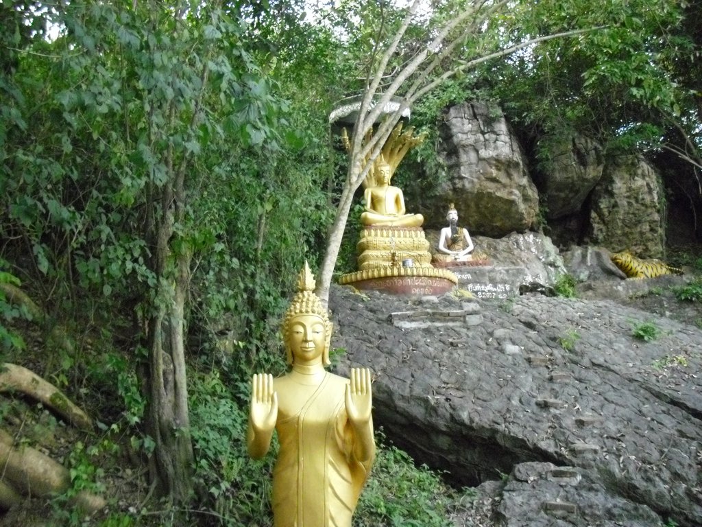 Image CIMG1818.JPG