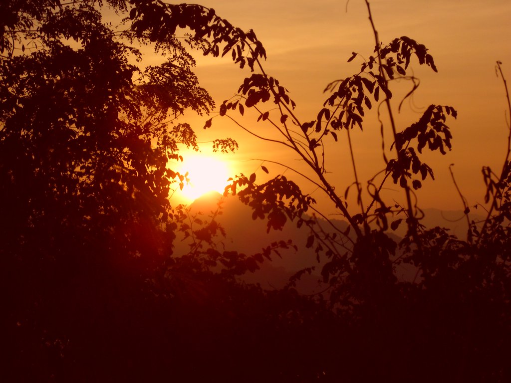 Image CIMG1823.JPG