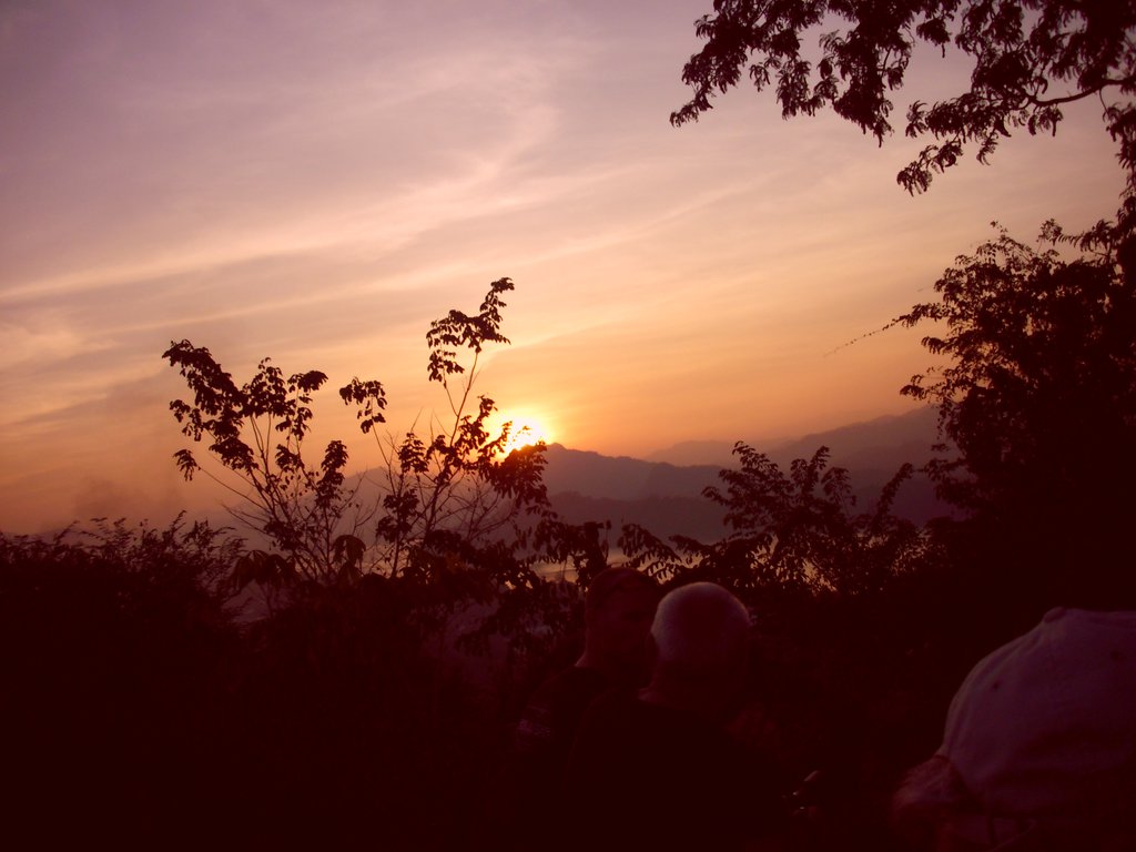 Image CIMG1824.JPG