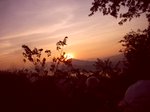CIMG1824 thumb