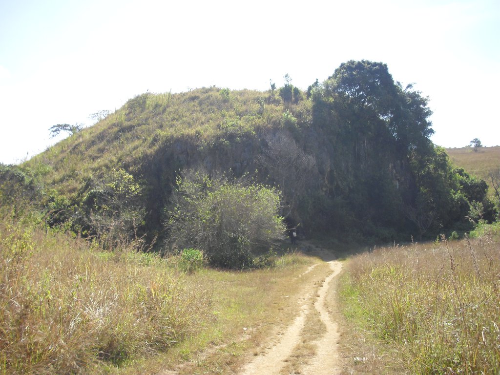 Image CIMG1877.JPG