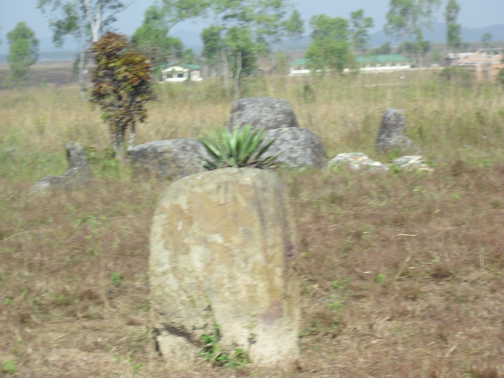 Image CIMG1882.JPG