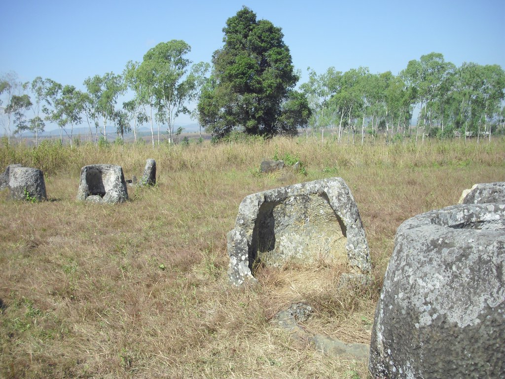 Image CIMG1885.JPG