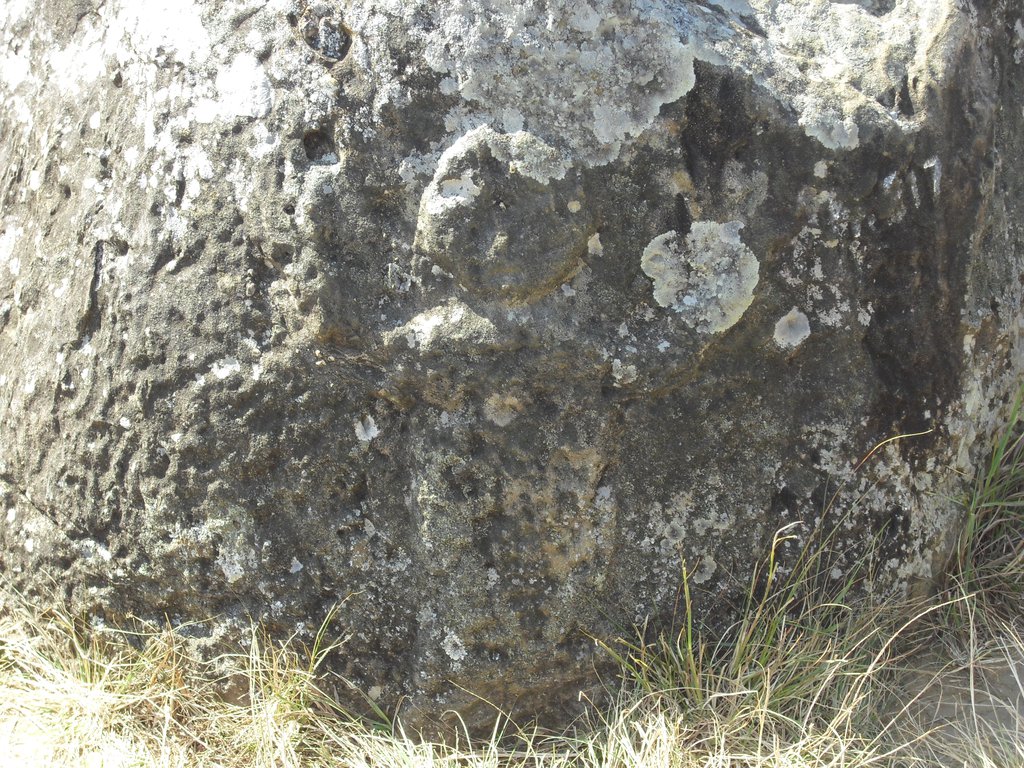 Image CIMG1889.JPG