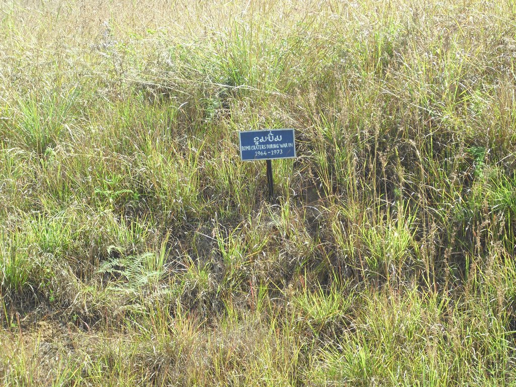 Image CIMG1892.JPG