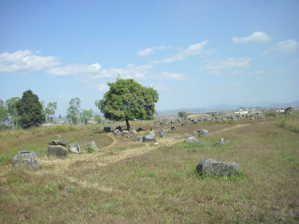 Image CIMG1894.JPG