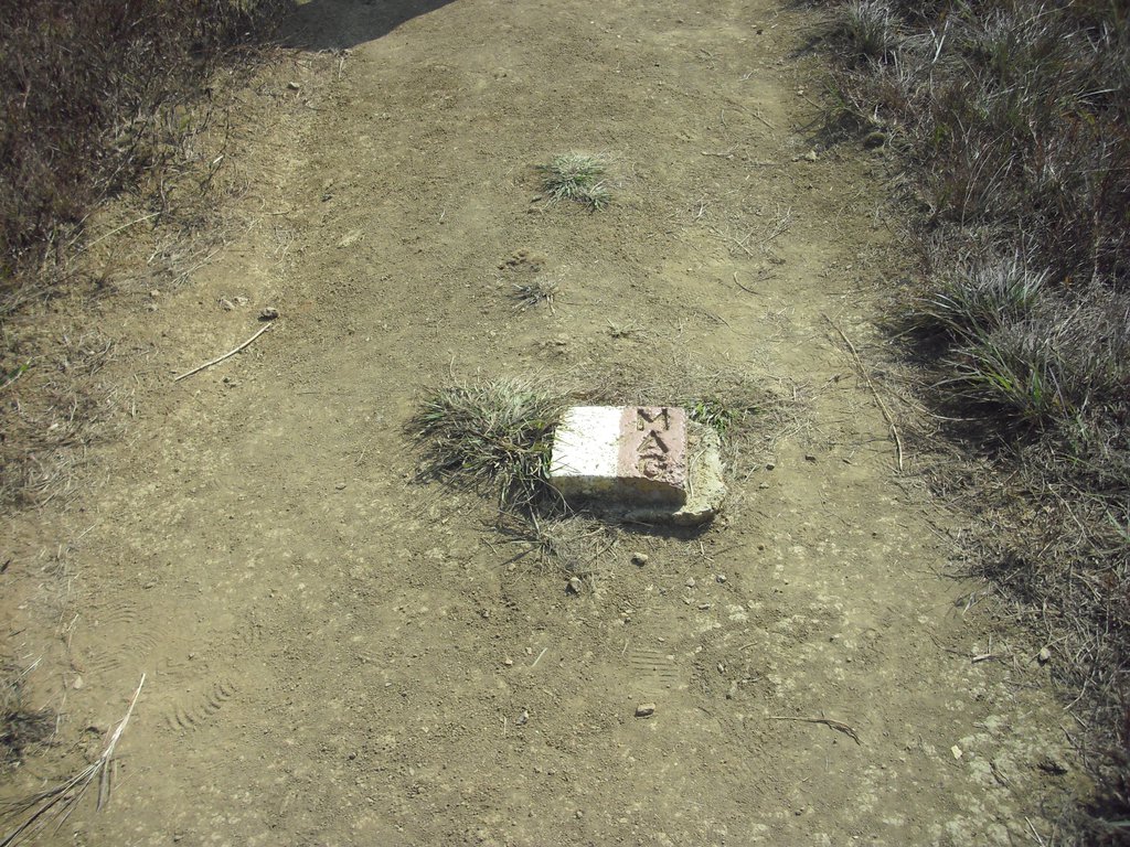 Image CIMG1897.JPG