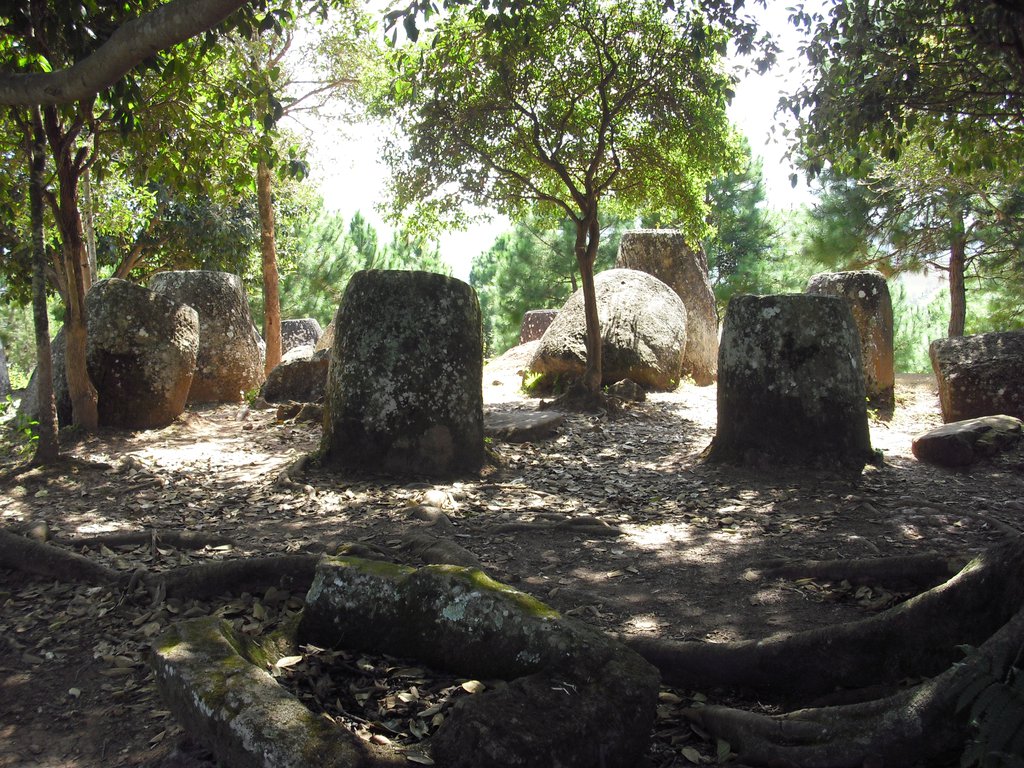Image CIMG1911.JPG
