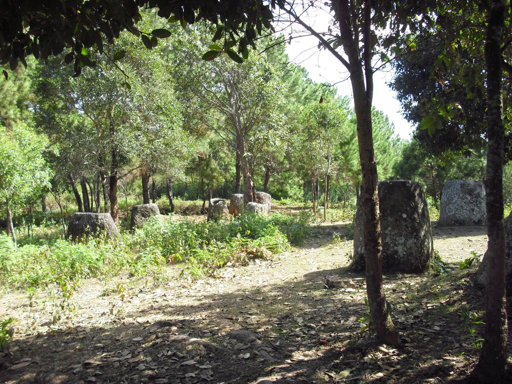 Image CIMG1912.JPG