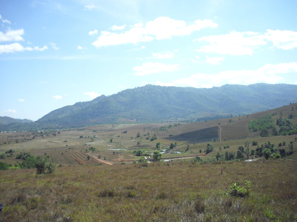 Image CIMG1928.JPG