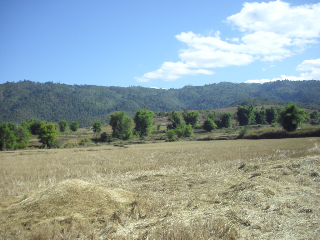 Image CIMG1932.JPG