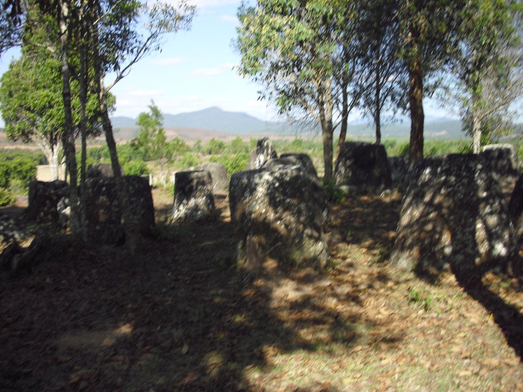 Image CIMG1939.JPG