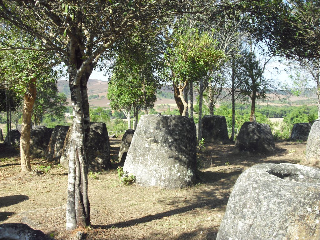 Image CIMG1943.JPG
