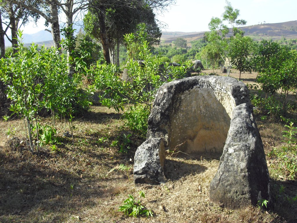 Image CIMG1945.JPG