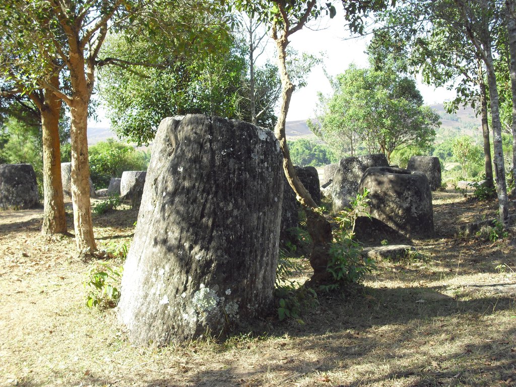 Image CIMG1949.JPG