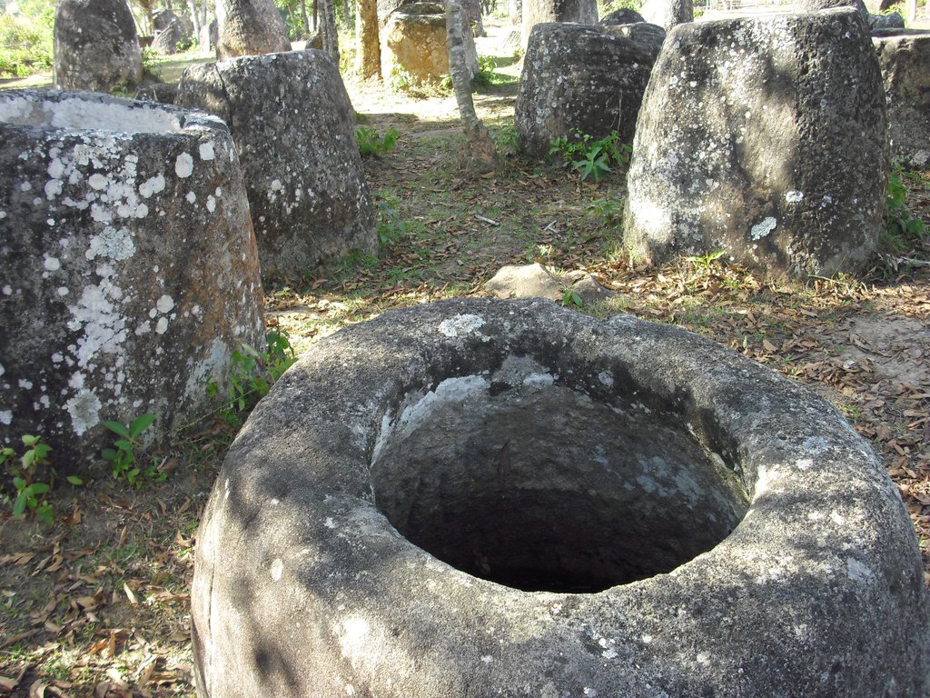 Image CIMG1951.JPG