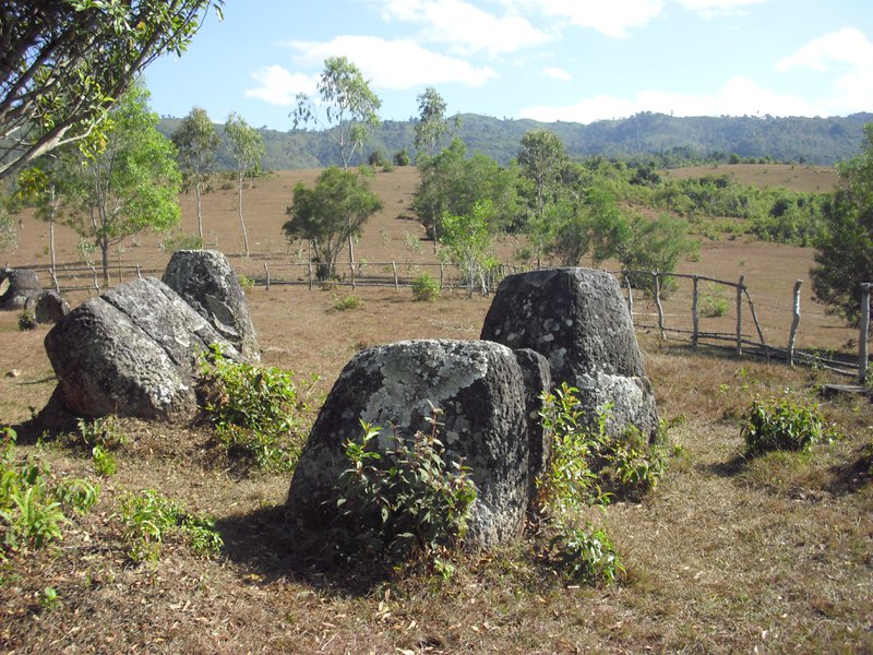 Image CIMG1953.JPG