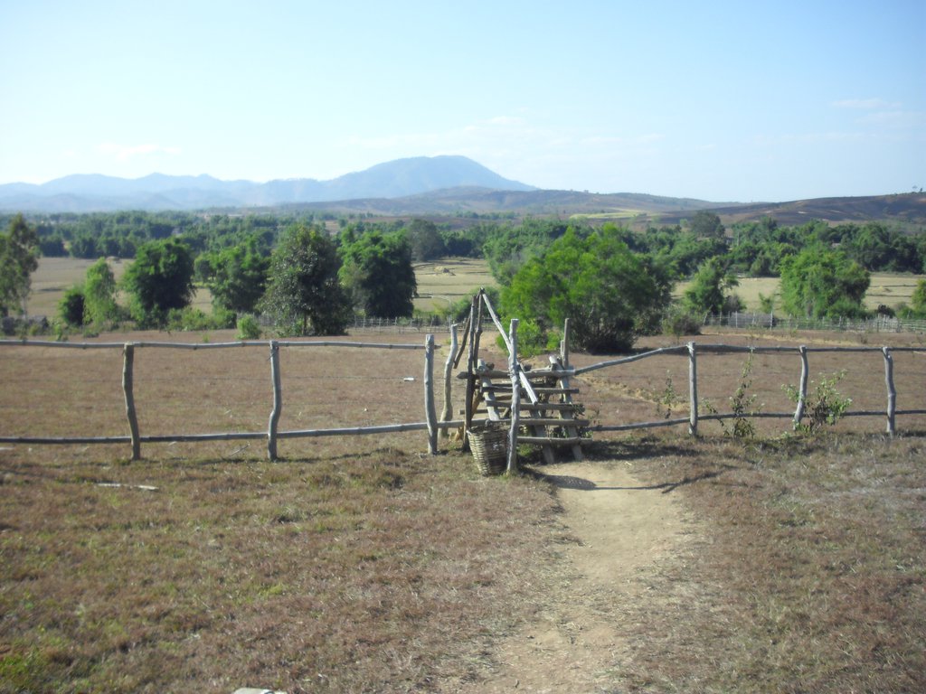 Image CIMG1956.JPG