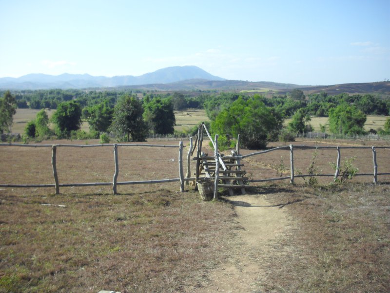 Image CIMG1956.JPG