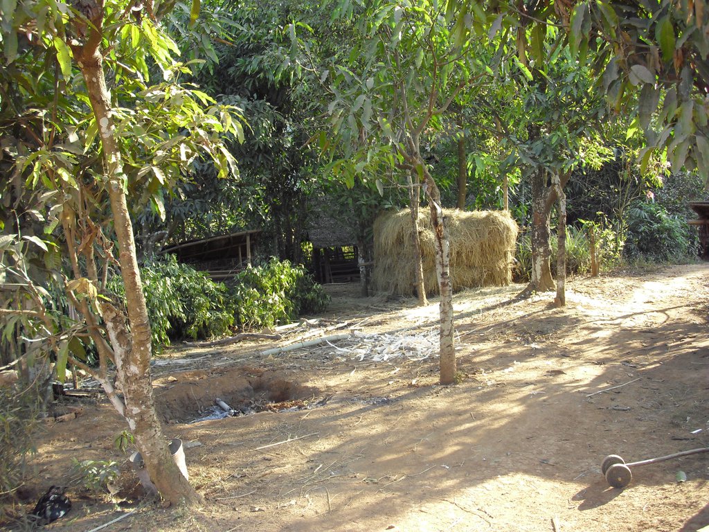 Image CIMG1968.JPG
