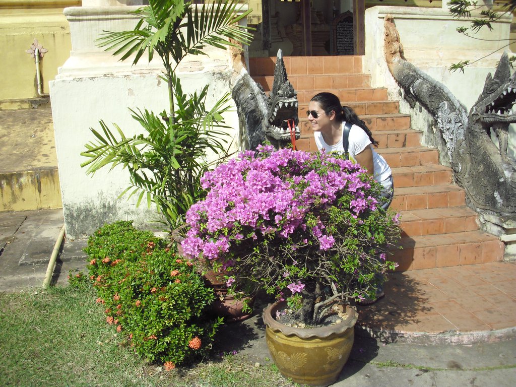 Image CIMG2002.JPG